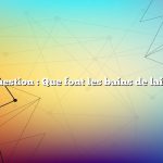 Question : Que font les bains de lait ?